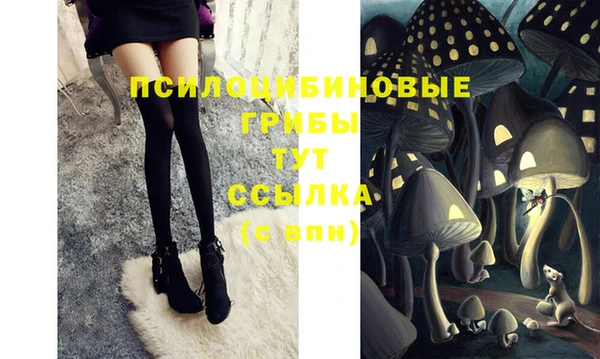 мдпв Абаза