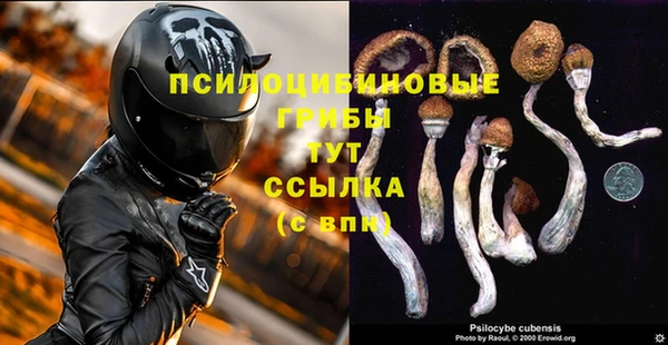 хмурый Абдулино
