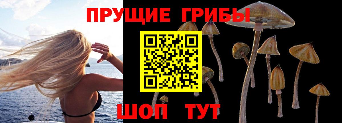 Псилоцибиновые грибы прущие грибы  Вход с VPN  Псилоцибиновые грибы ЛСД  Рязань 